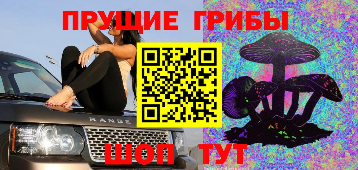 Галлюциногенные грибы Cubensis Артём