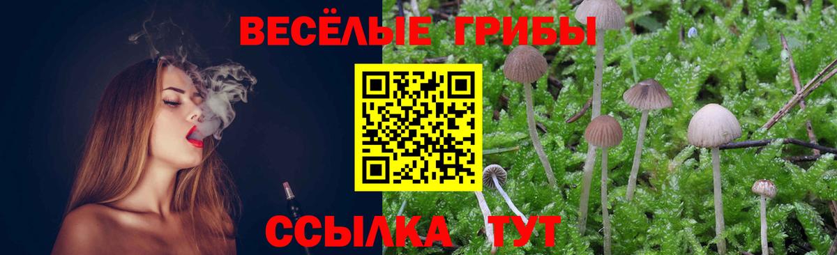 НБОМе Артём