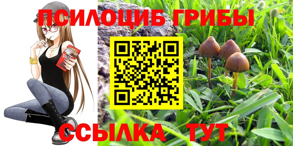 Галлюциногенные грибы GOLDEN TEACHER  Галлюциногенные грибы Magic Shrooms  Вход с VPN  Артём 